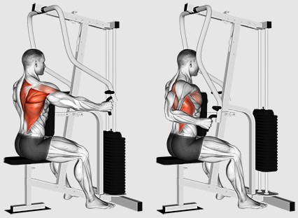 Трябва ли да се съсредоточим върху редове или дърпания за по -добро обучение на гърба?