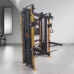 Commercial Strength Training Functional Trainer Gym High and Low Pulling All in One Machine 